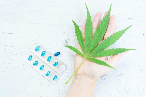 L'essor du cbd dans la construction écologique